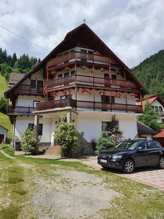 Гостевой дом Casa Mădălina Брашов-0