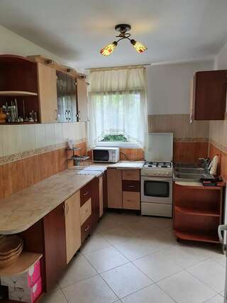 Гостевой дом Casa Mădălina Брашов-5